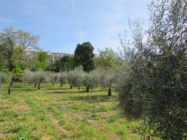 Jardín de Terreno en venta en Cenes de la Vega