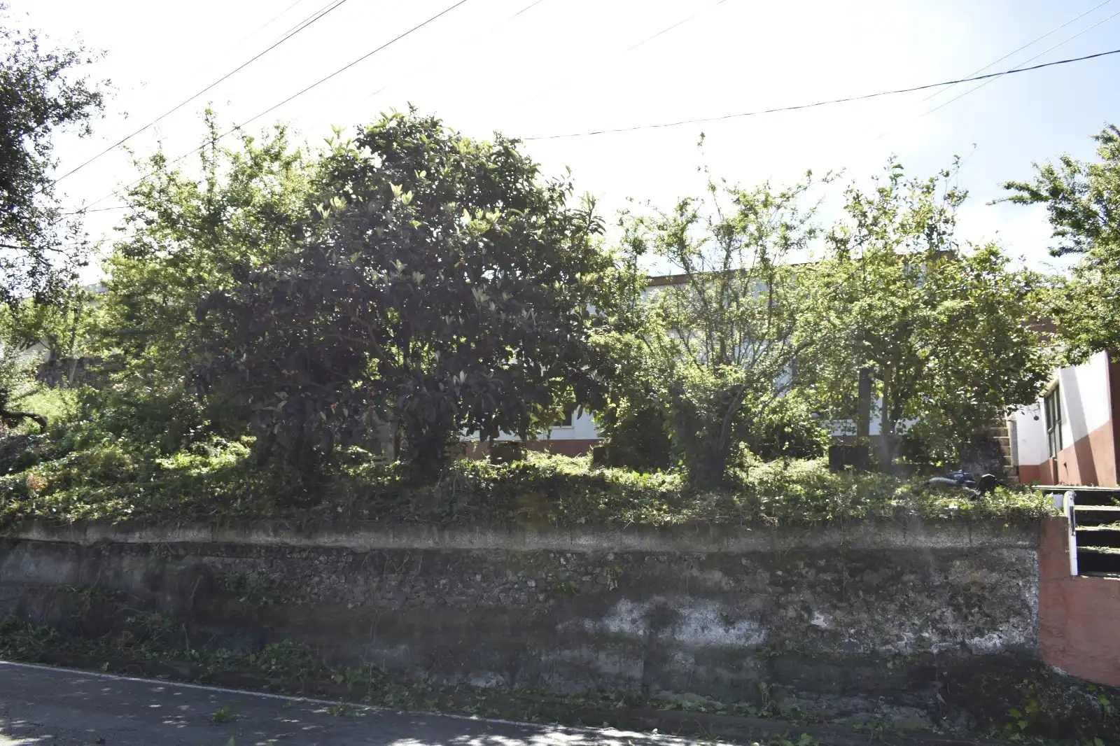 Casa o chalet en venta en Teror con Jardín privado