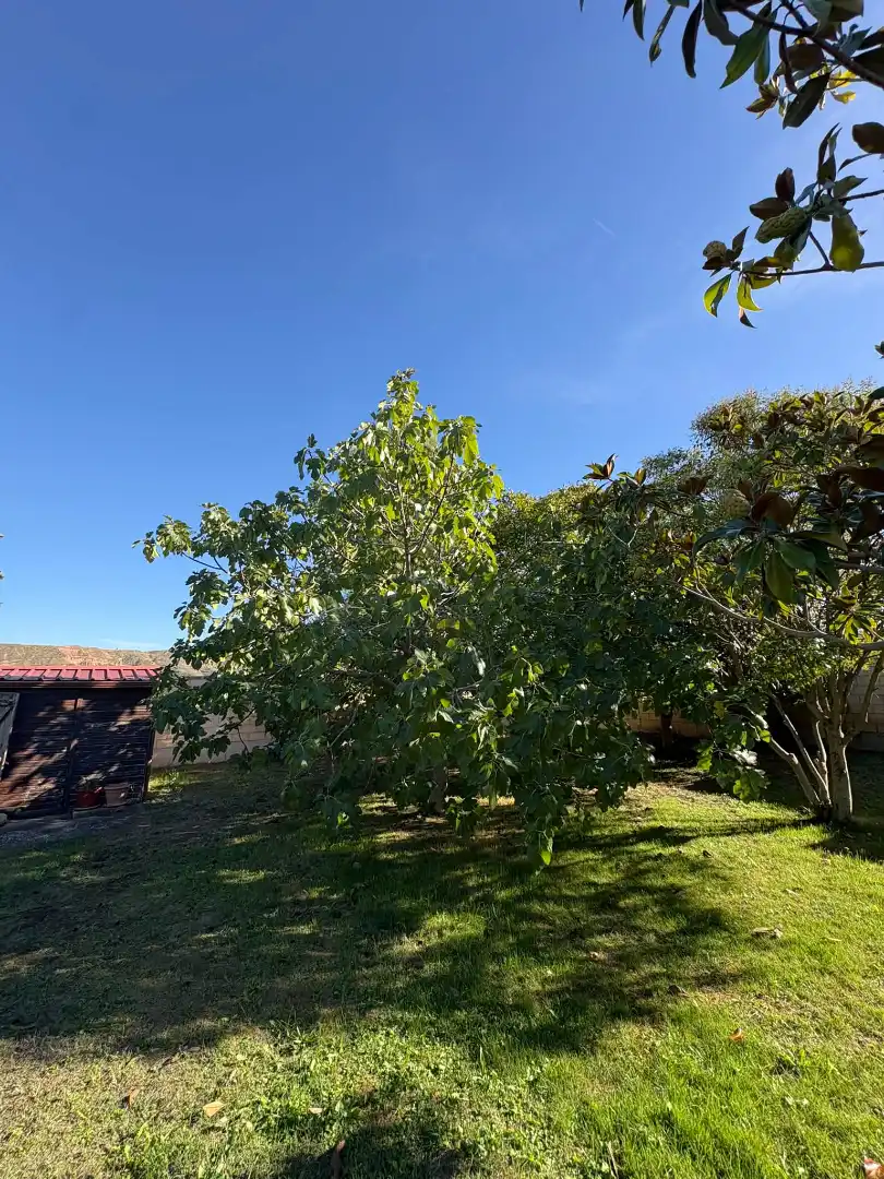 Jardín de Terreno en venta en Albelda de Iregua