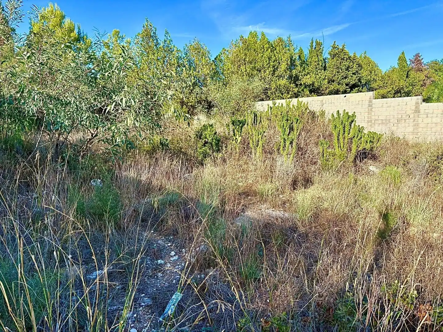 Terreny residencial en venda a Calle Felipe II 27, imagen 12