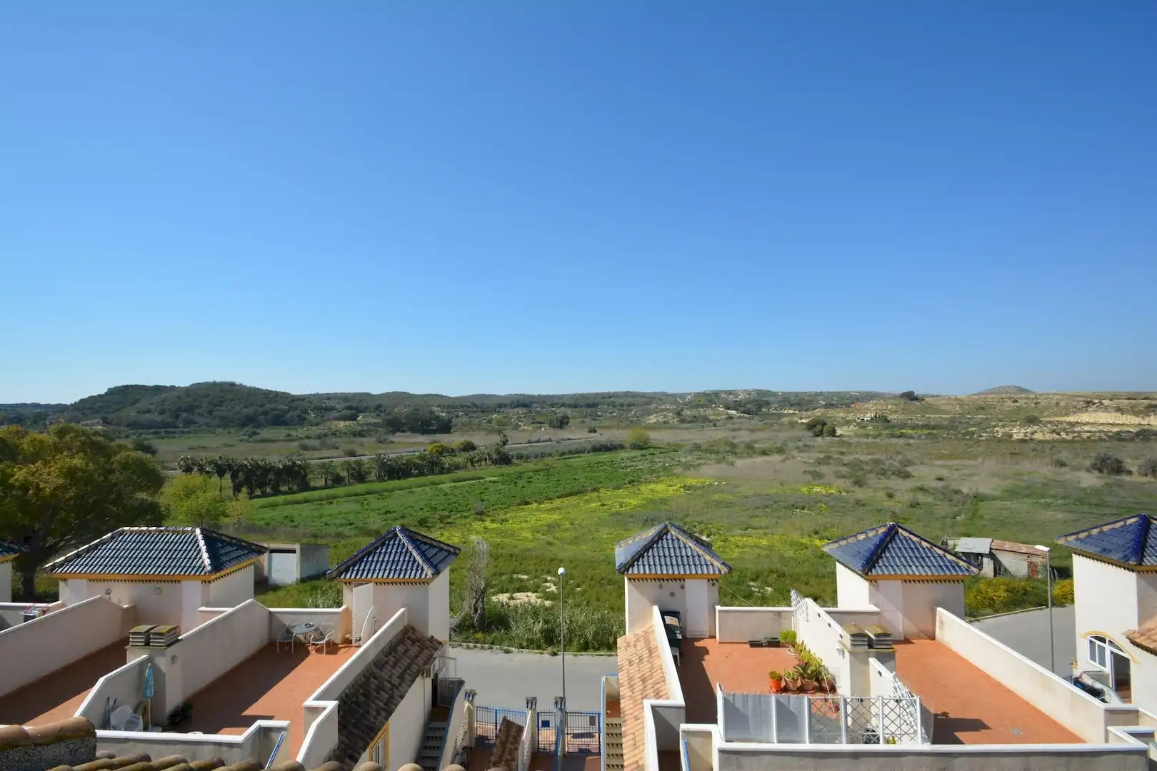 Jardín de Finca rústica en venta en Guardamar del Segura con Terraza, Trastero y Amueblado