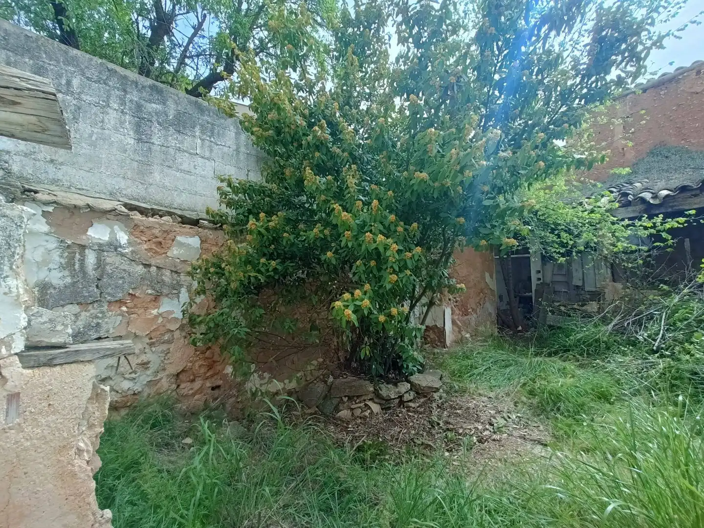 Casa rústica con terraza en venta en San Clemente, imagen 4