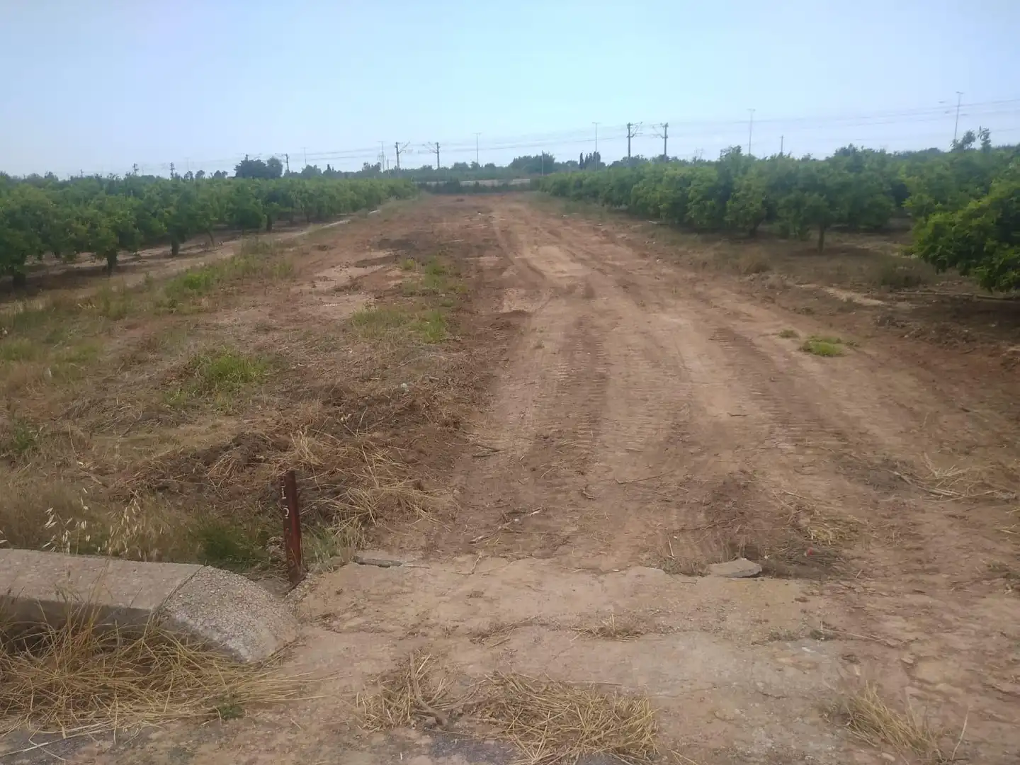 Terreno rustico in vendita a Norte, imagen 4