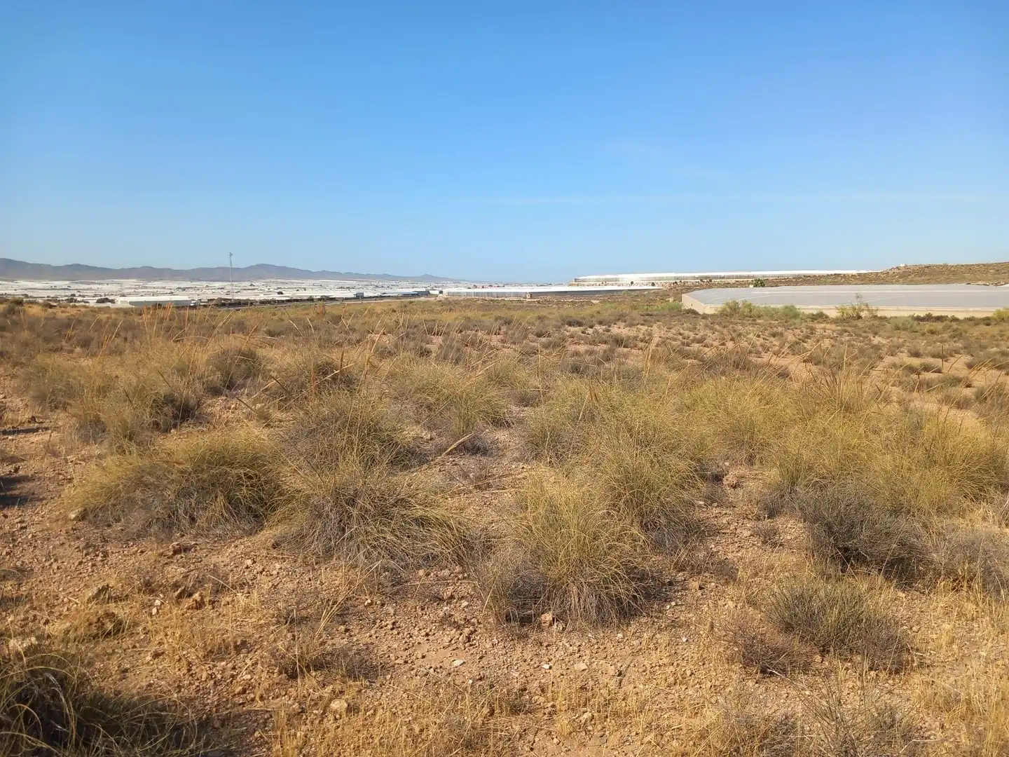 Terreny rústic en venda a San Isidro - Campohermoso, imagen 49