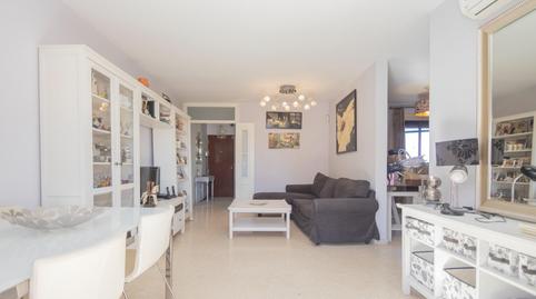 Photo 2 of Flat for sale in Barrio San Diego, Pino Montano - Consolación, Sevilla