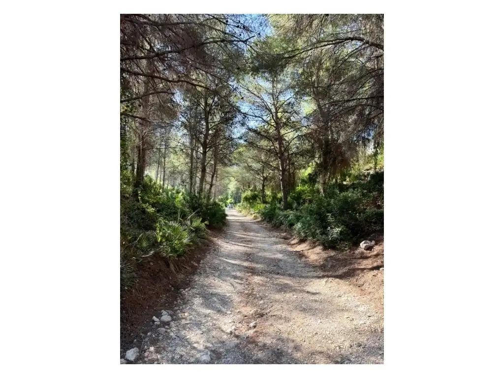 Apartments for sale in Calafat