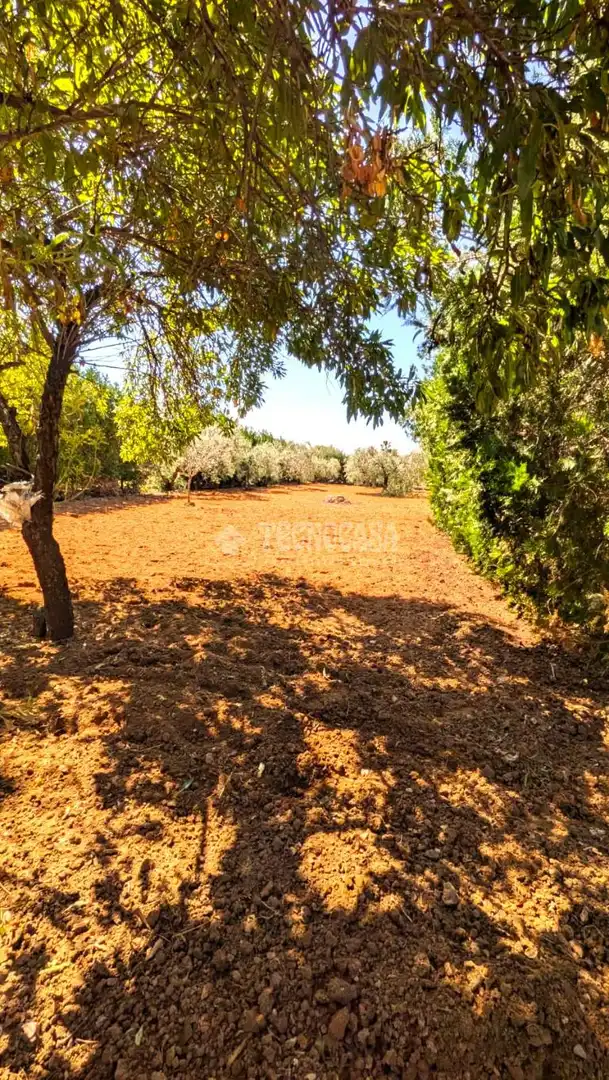 Casa rústica amb piscina en venda a Marchena, imagen 30