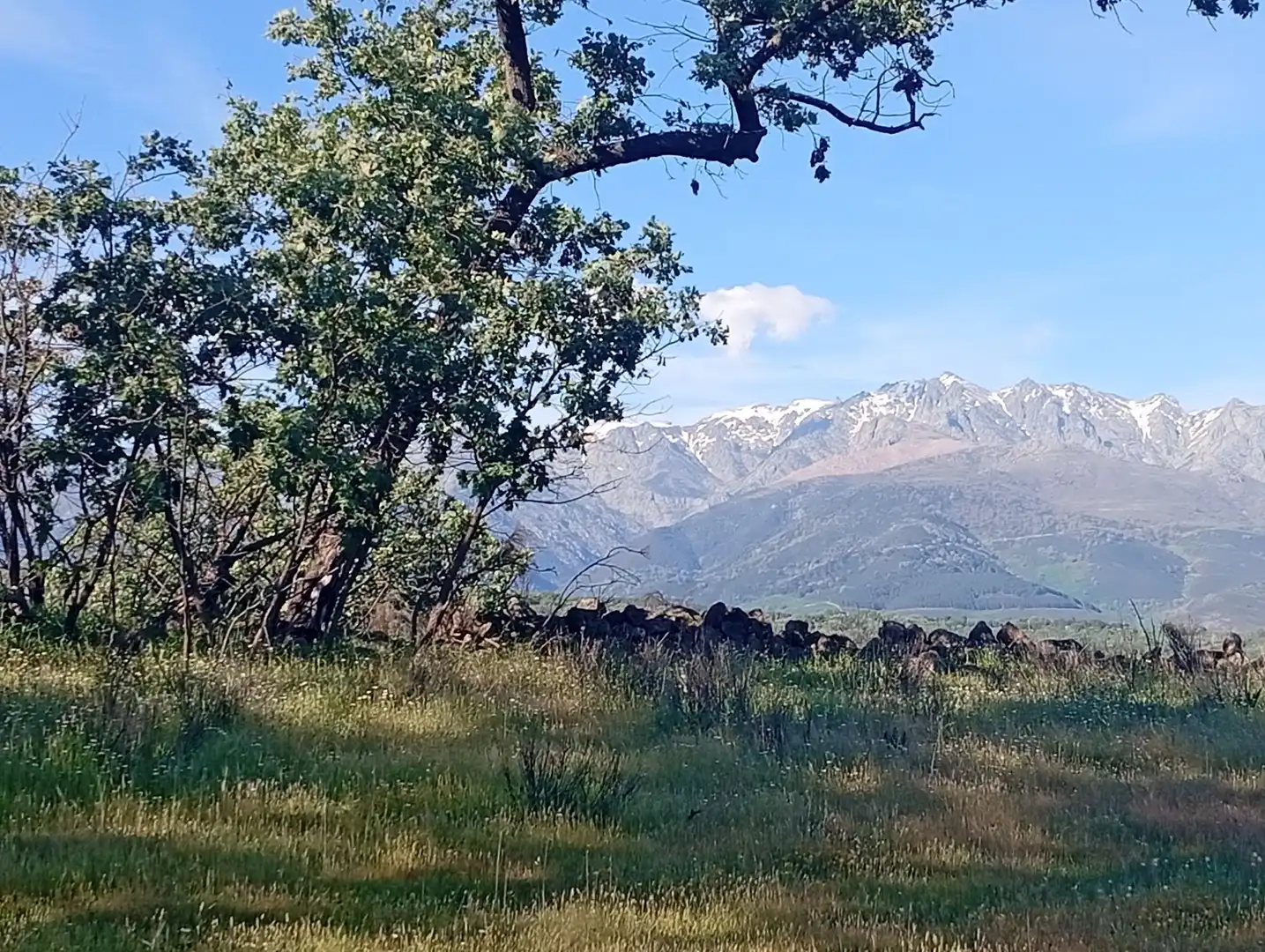 Terreni e lotti in vendita a Villanueva de la Vera, imagen 11