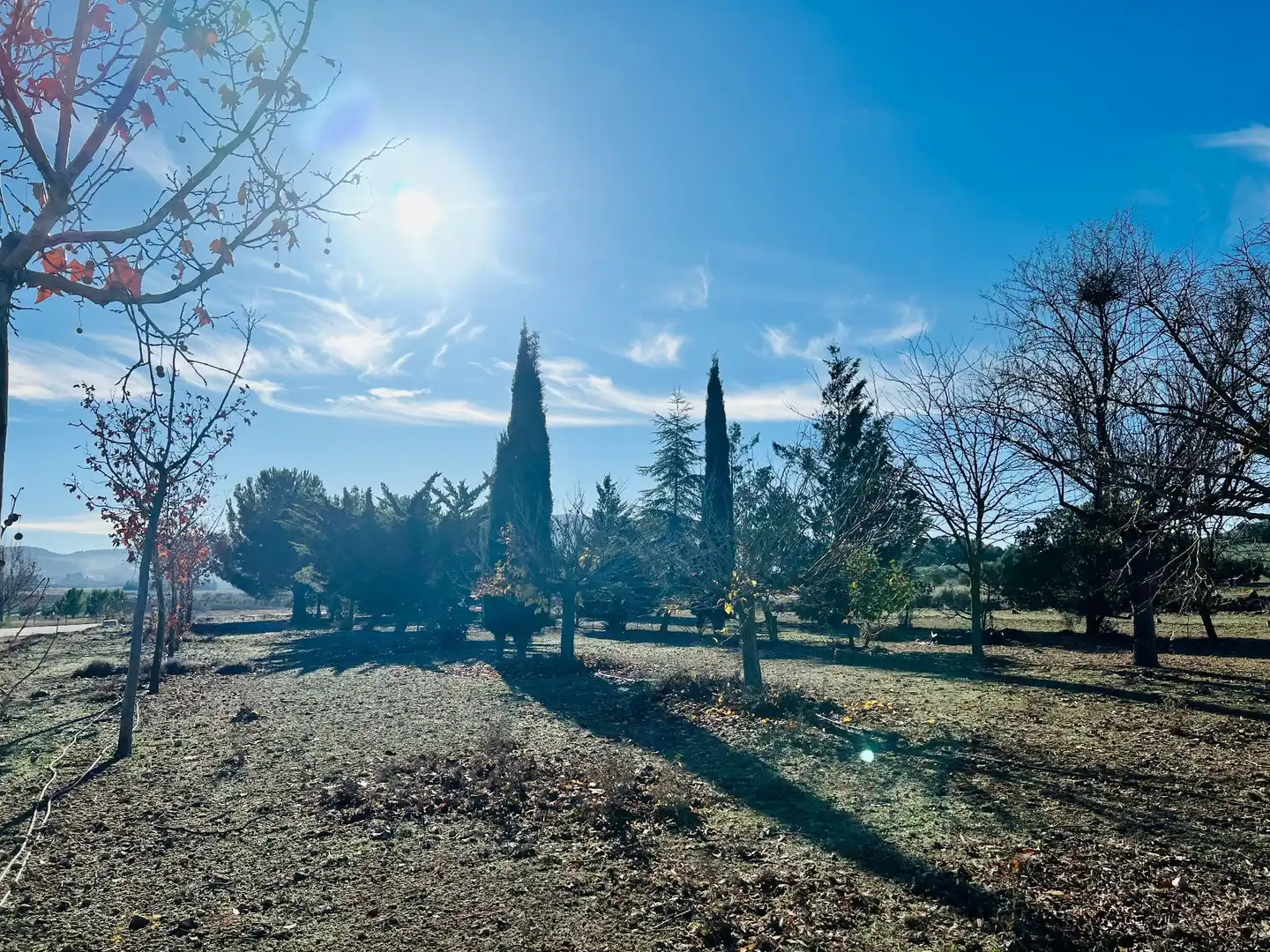 Terreny residencial en venda a Cañada, imagen 14