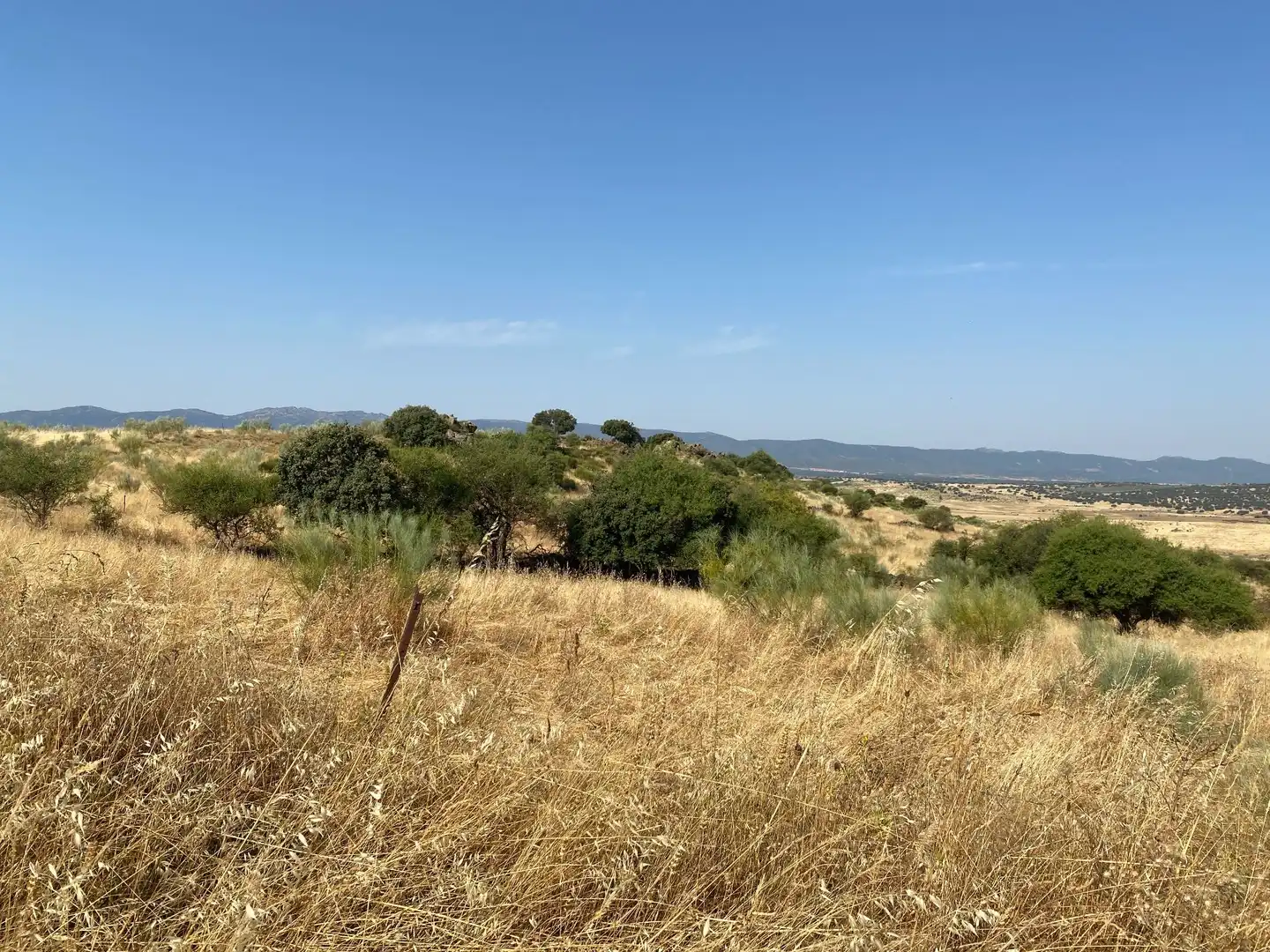 Grundstücke zum Verkauf in Aldeanueva de San Bartolomé