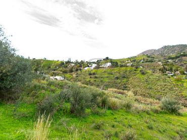 Terreno rustico in vendita a Torrox Pueblo