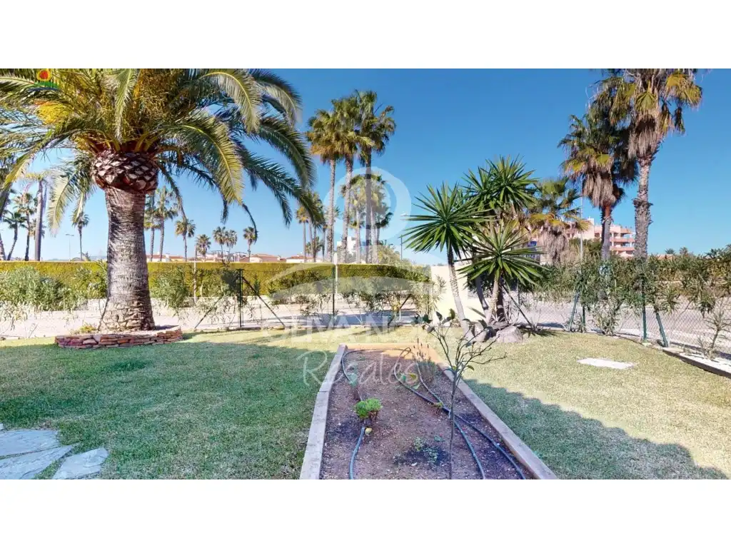Jardín de Casa o chalet en venta en Oliva con Jardín privado