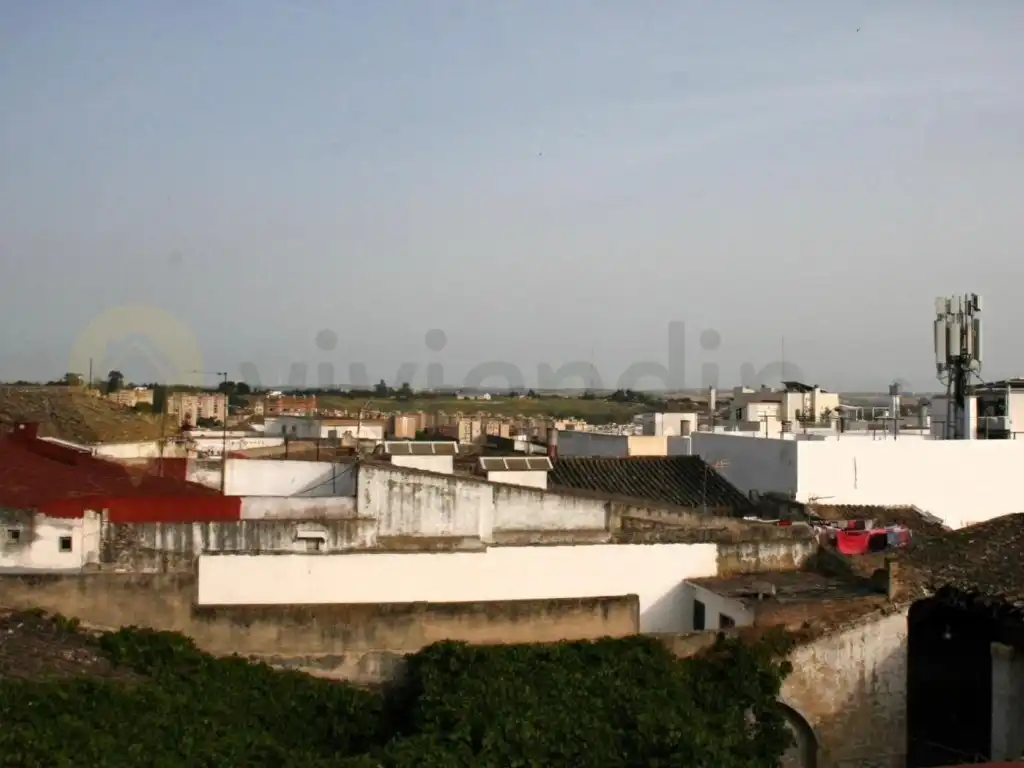 Exterior view of Houses for sale in Jerez de la Frontera  with Terrace and TV