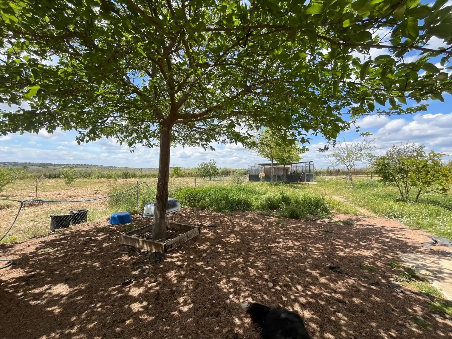 Casa o chalet en venta en Carrión de Calatrava con Aire acondicionado, Calefacción y Terraza