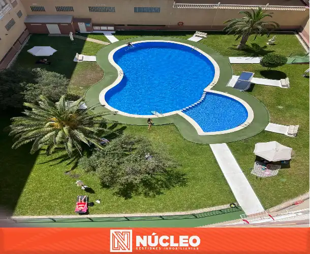 Piscina de Pis en venda en Torrevieja amb Aire condicionat, Terrassa i Moblat