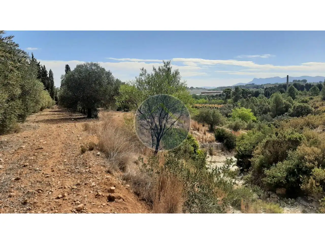 Terrain rustique à vendre à Calle Partida la Baronia, imagen 4