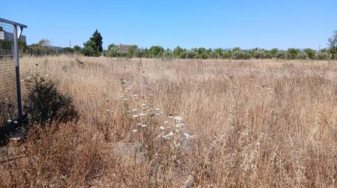 Foto 5 de Finca rústica en venda a Consell, Illes Balears