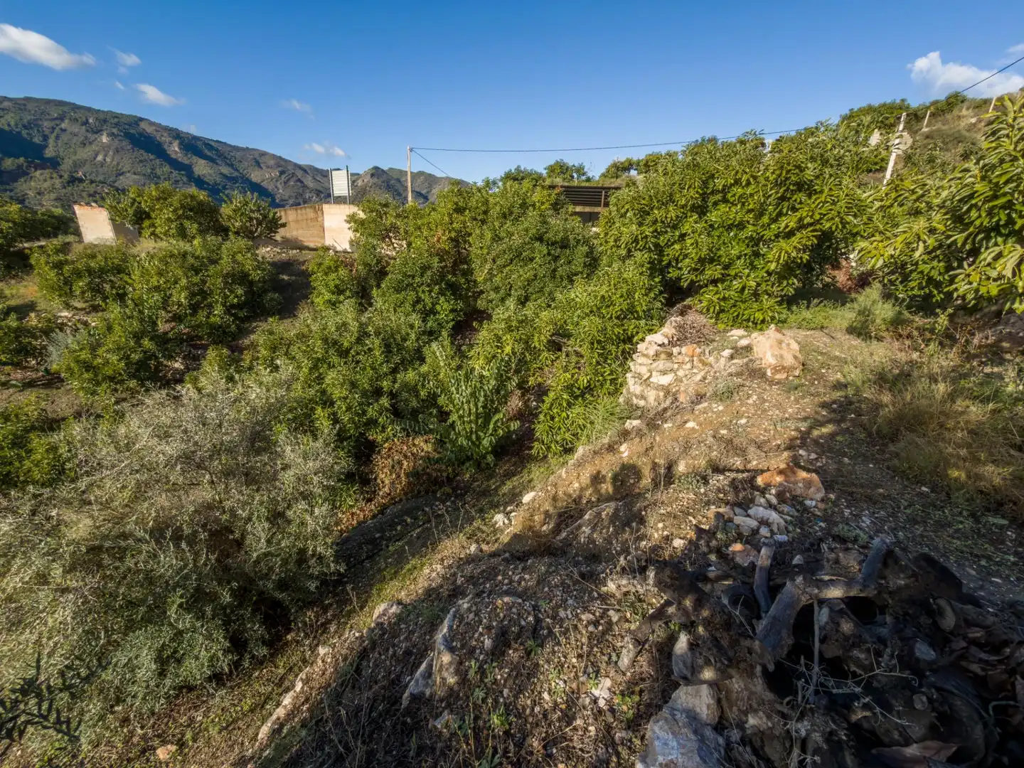 Finca rústica en venda en Los Guájares amb Terrassa i Traster