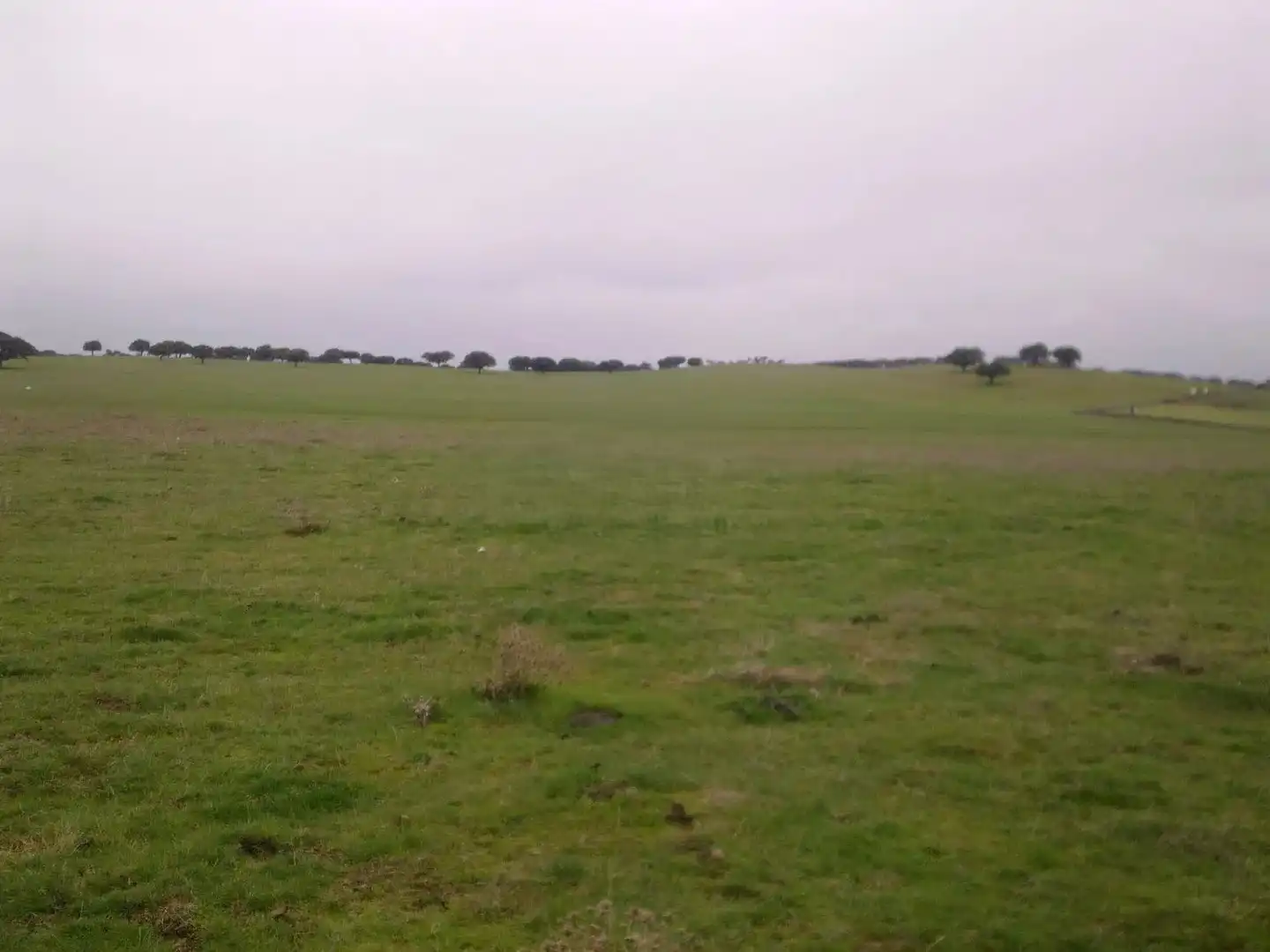 Land for sale in Vistahermosa