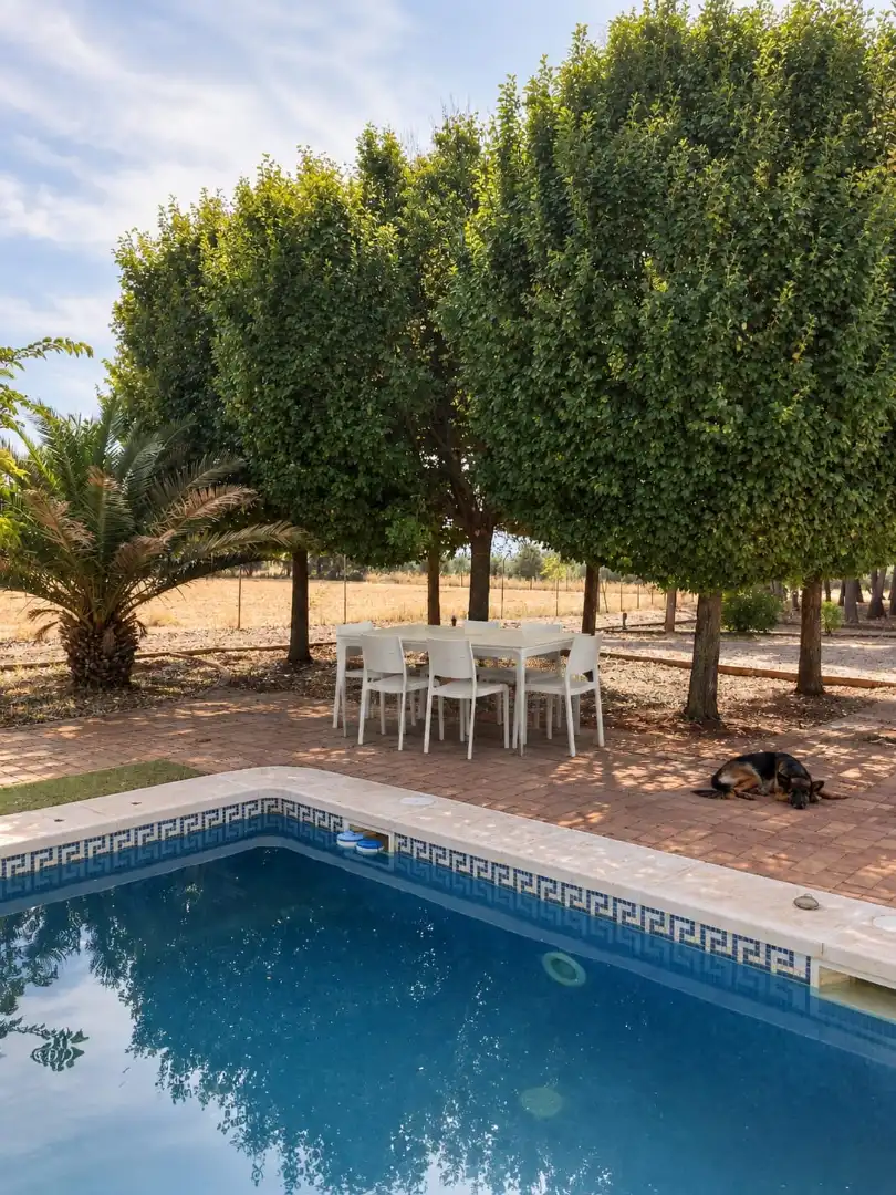 Terrace of Country homes for rent in Argamasilla de Calatrava, Ciudad Real
