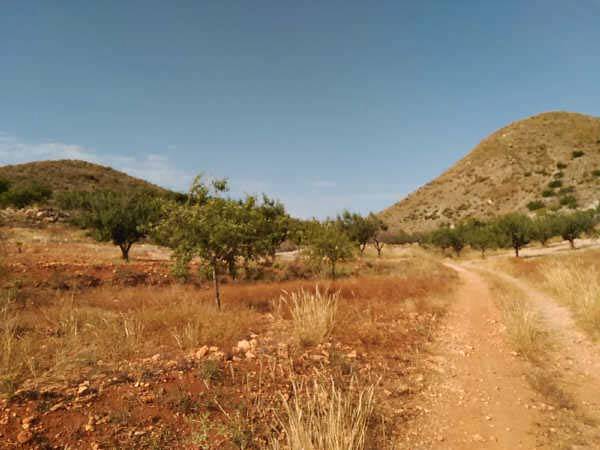 Terreno residencial en Venta en Nº 81 Parcela 397. Bancal El Moro en Campo Nubla