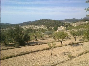 Terreno residencial en venta en Carrer Alcoi 14