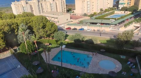 Foto 4 de Pis de lloguer a Camí de Fondo, Playa Muchavista, Alicante