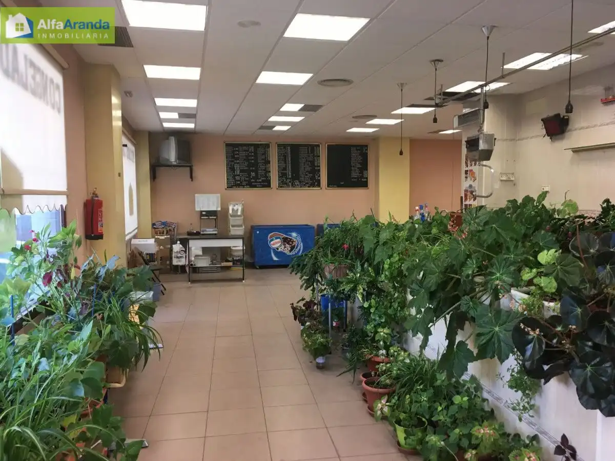 Gewerbefläche zur Miete in Santa Catalina - Ferial, imagen 5