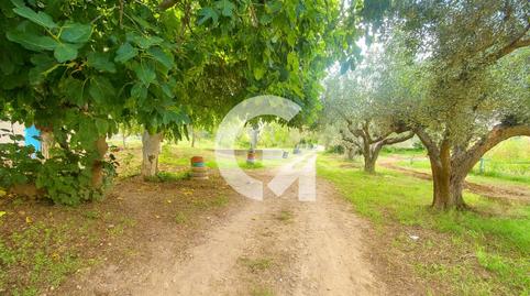 Foto 3 de Finca rústica en venta en Cl Montsec, Mas Trader - Corral d'En Tort - Corral d'En Cona, Barcelona