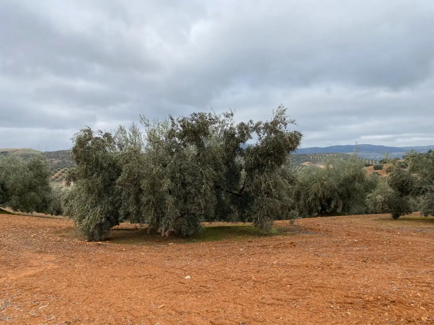 Casa rustica in vendita a Huétor Tájar, imagen 55
