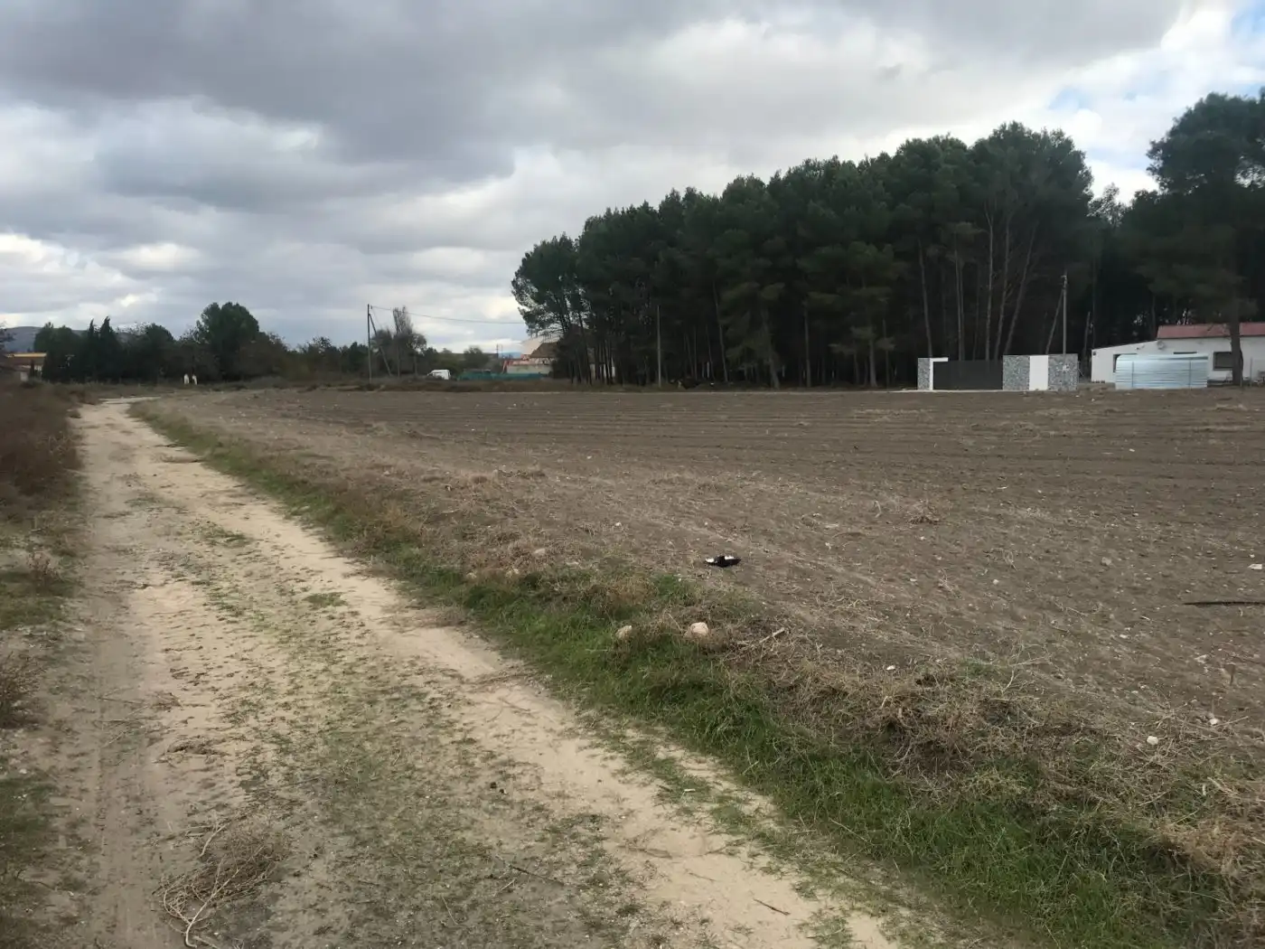 Grundstücke zum Verkauf in Villena