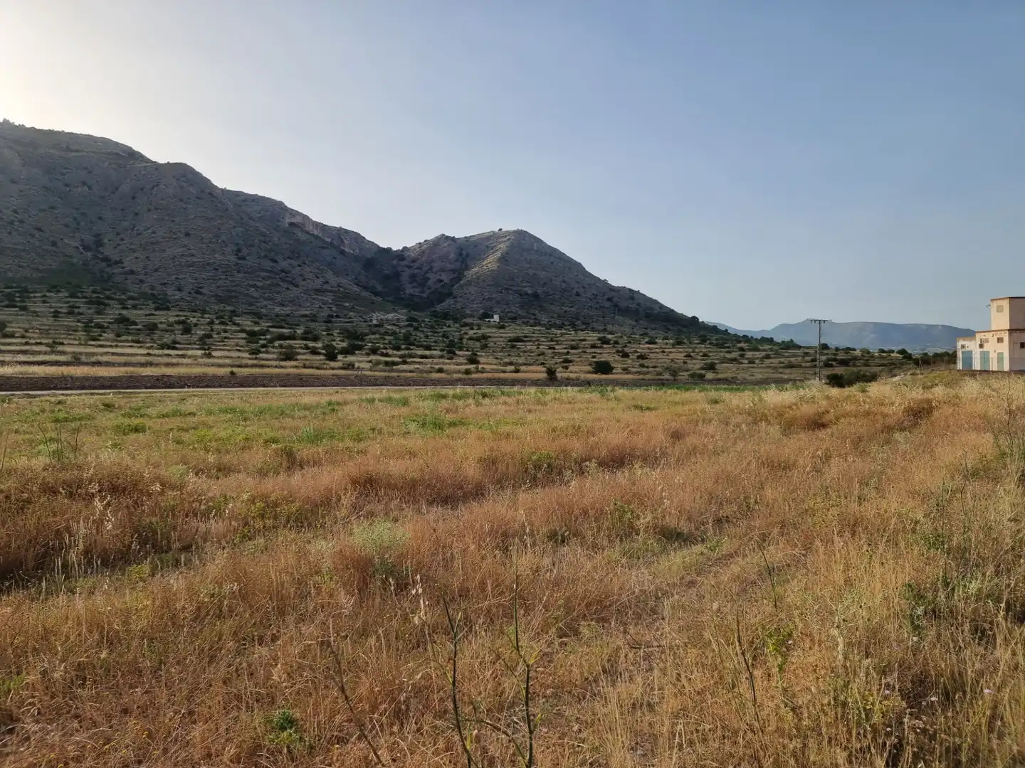 Land for sale in Aspe