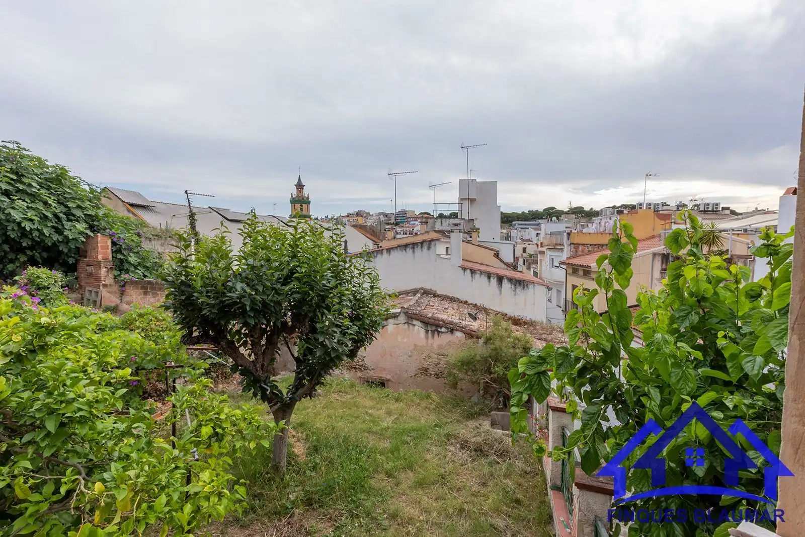 Vista exterior de Finca rústica en venda en Arenys de Mar amb Calefacció, Jardí privat i Terrassa