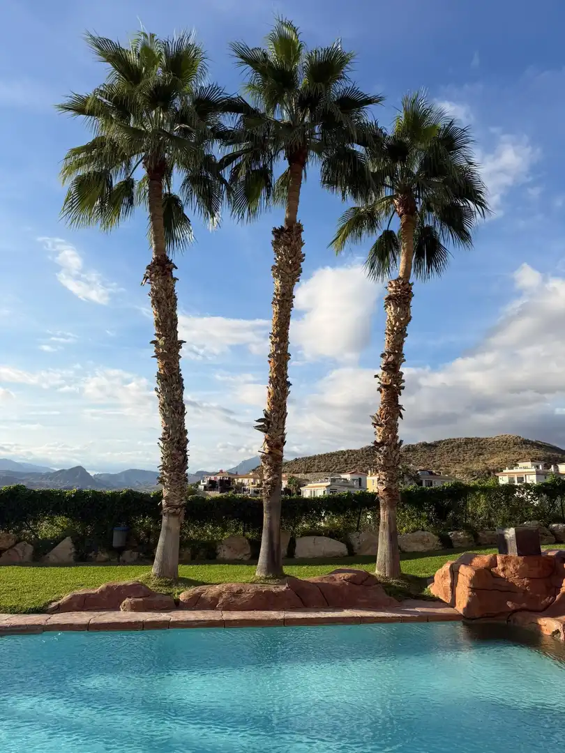 Vista exterior de Estudio en venta en Bonalba - Cotoveta  