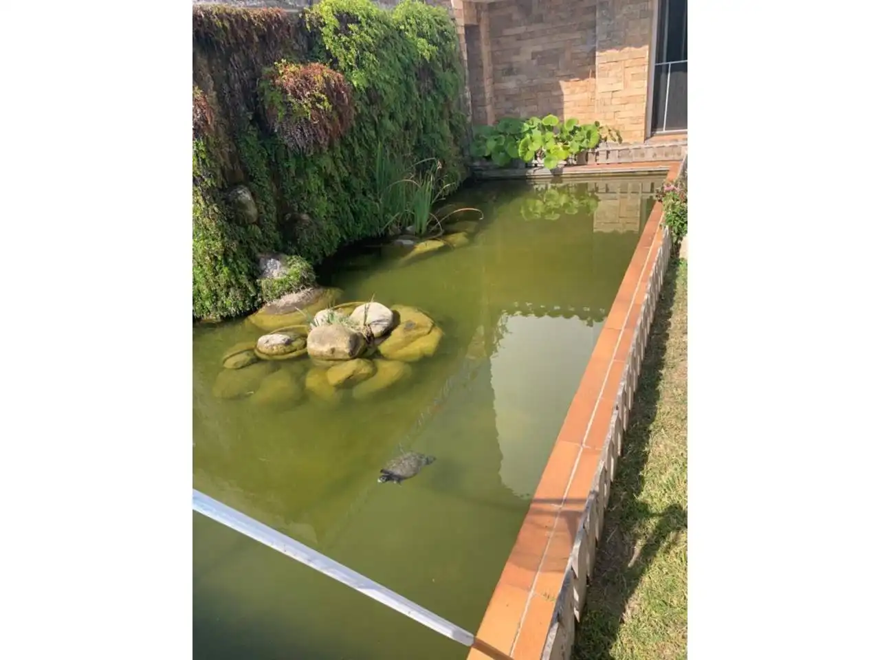 Casa con piscina in vendita a Roda de Barà, imagen 42
