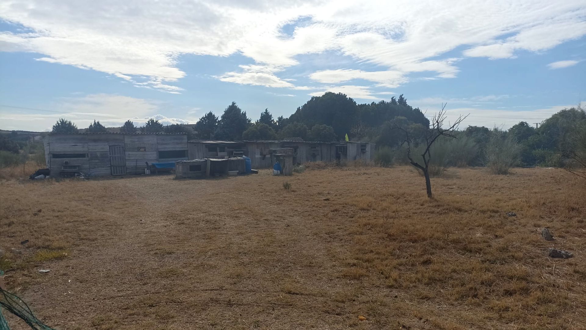 Terreno en venta en Carranque