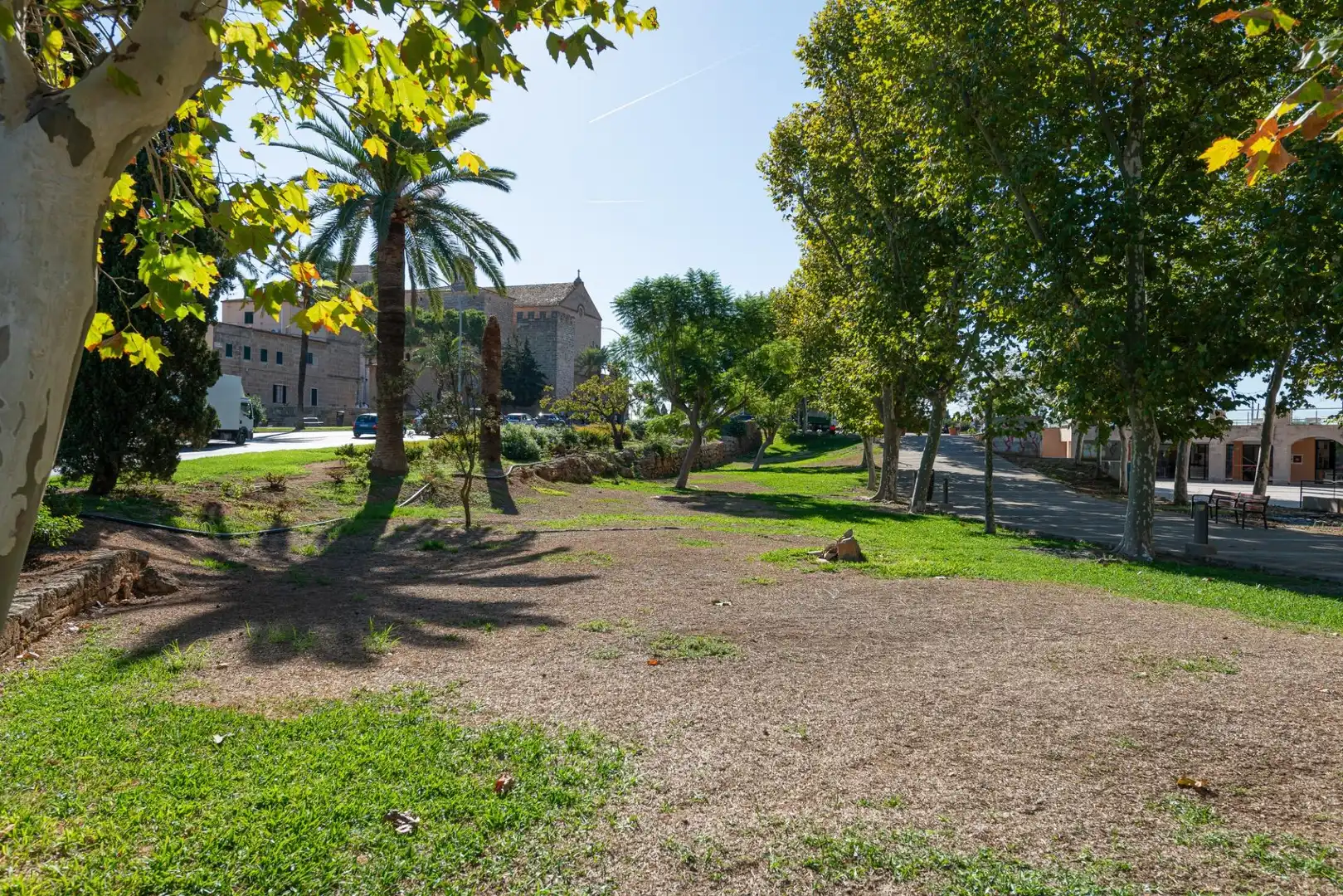 Appartement compact avec terrasse à vendre à Ciutat d'Alcúdia, imagen 66