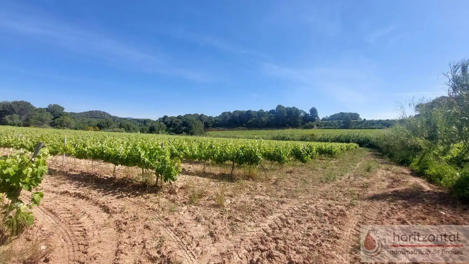 Terrenys i solars en venda a Sant Quintí de Mediona, imagen 12