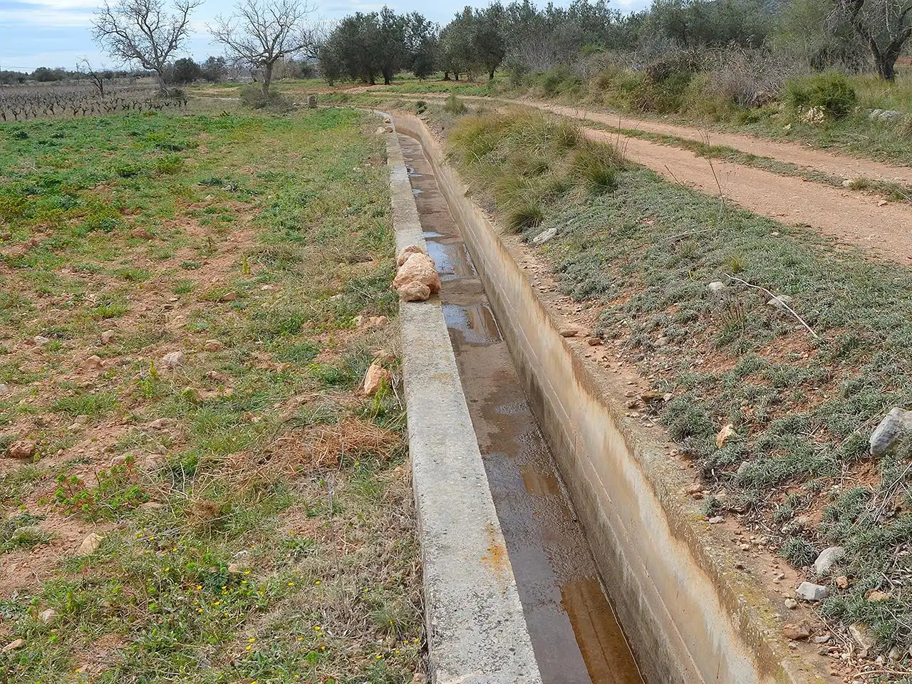 Terreny rústic en venda a Pont Godall/Dressera/Ermita, imagen 12