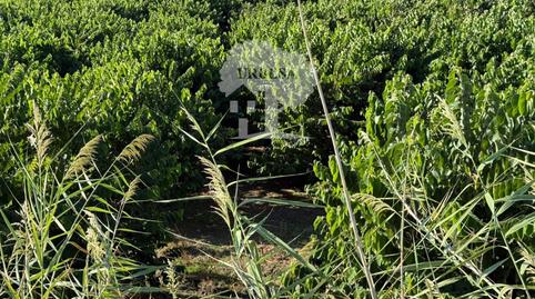 Photo 2 of Land for sale in Pataura, Motril  ciudad, Motril