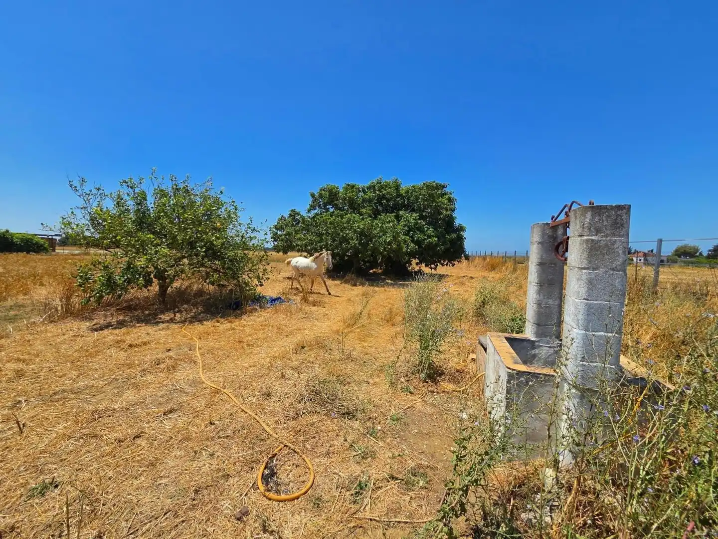 Terreno residenziale in vendita a Pelagatos - Pago del Humo, imagen 13