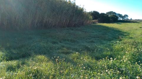 Photo 4 of Land for sale in Carreira, Ribeira