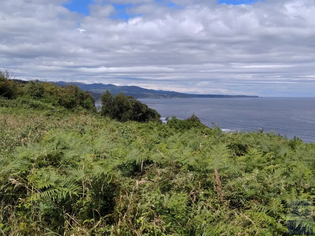 Terreno rustico in vendita a Santa María del Mar - El Puerto, imagen 6