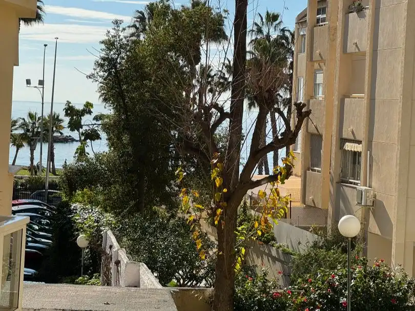 Apartments for rent in Paseo de Sancha, 16, La Malagueta - Monte Sancha