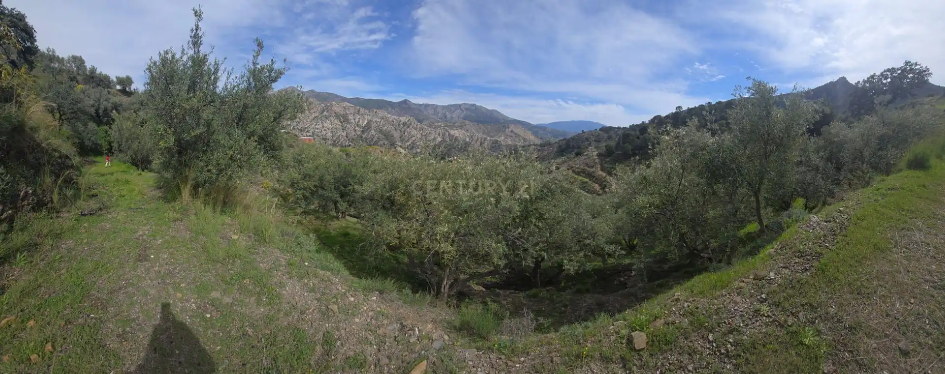 Terreno rustico in vendita a Polígono 11 Parcela 307 EL CERRILLAR. LOS GUAJARES (GRANADA), imagen 11