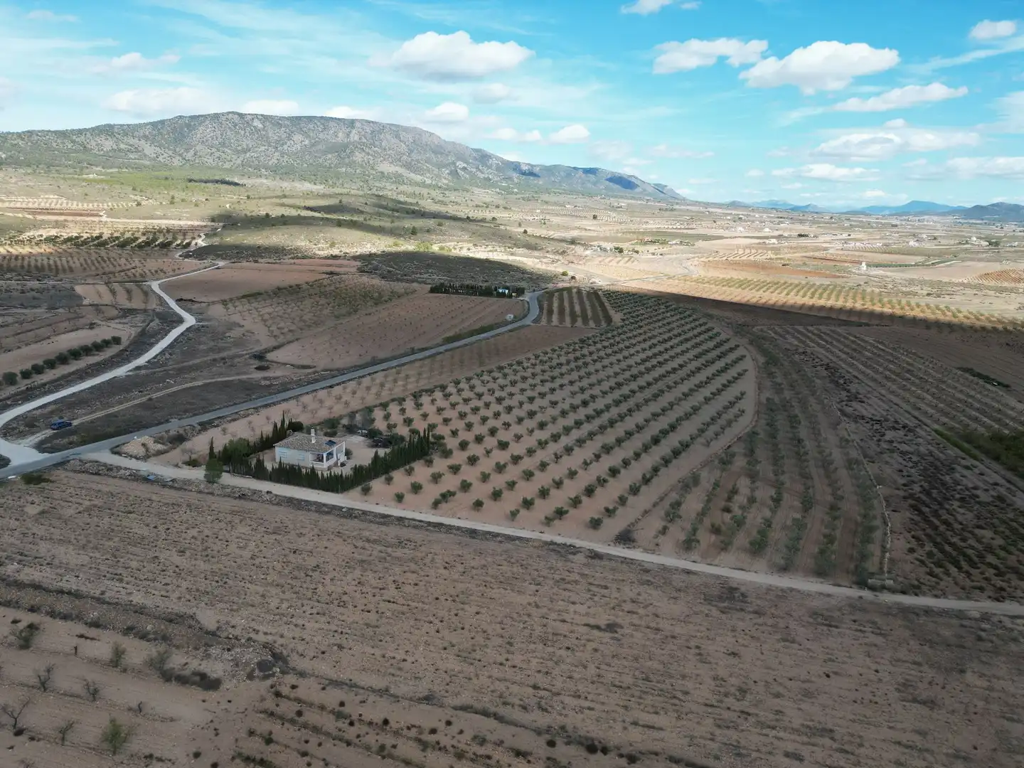 Terreno residencial en venta en El Pinós / Pinoso, imagen 3