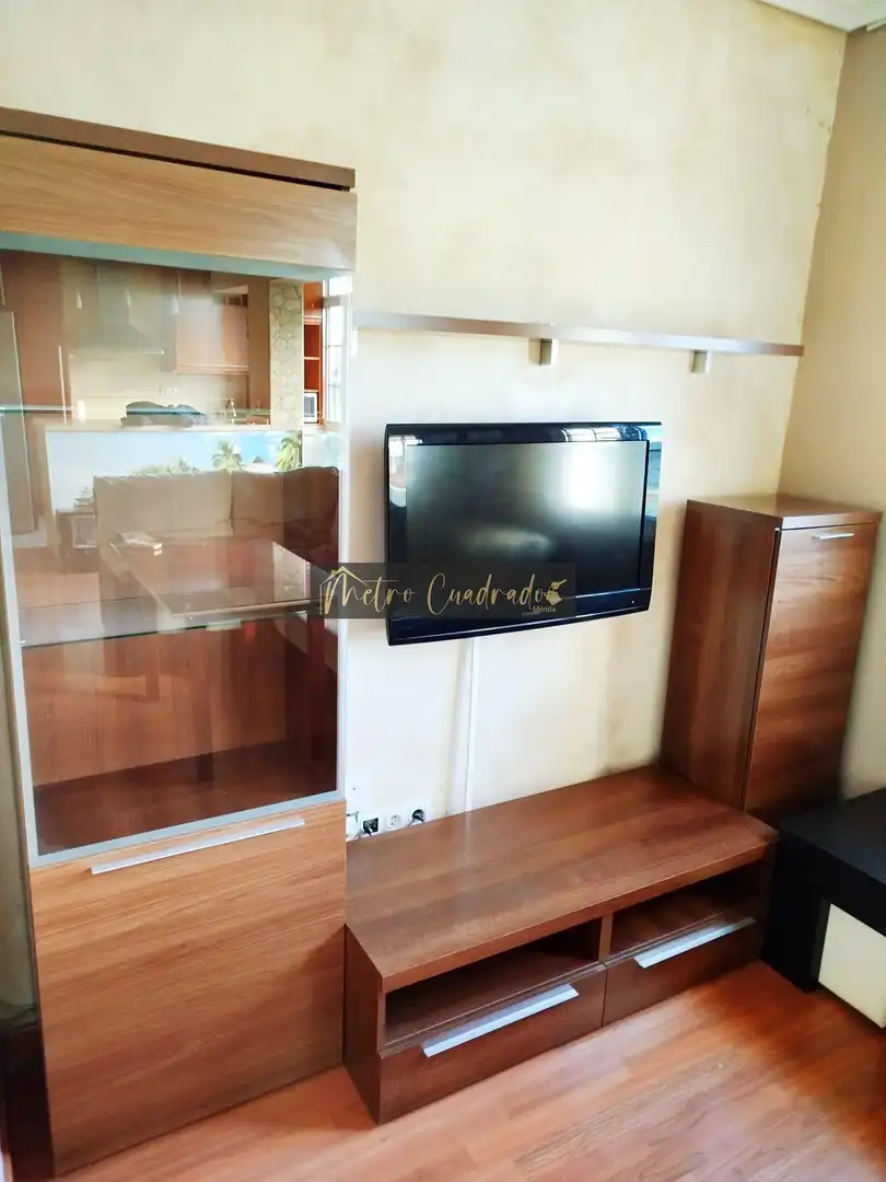 Living room of Flat for rent in Mérida  with Air Conditioner and Furnished