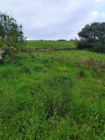 Casa-chalet en Venta en Verdicio - Bañugues - Cabo Peña