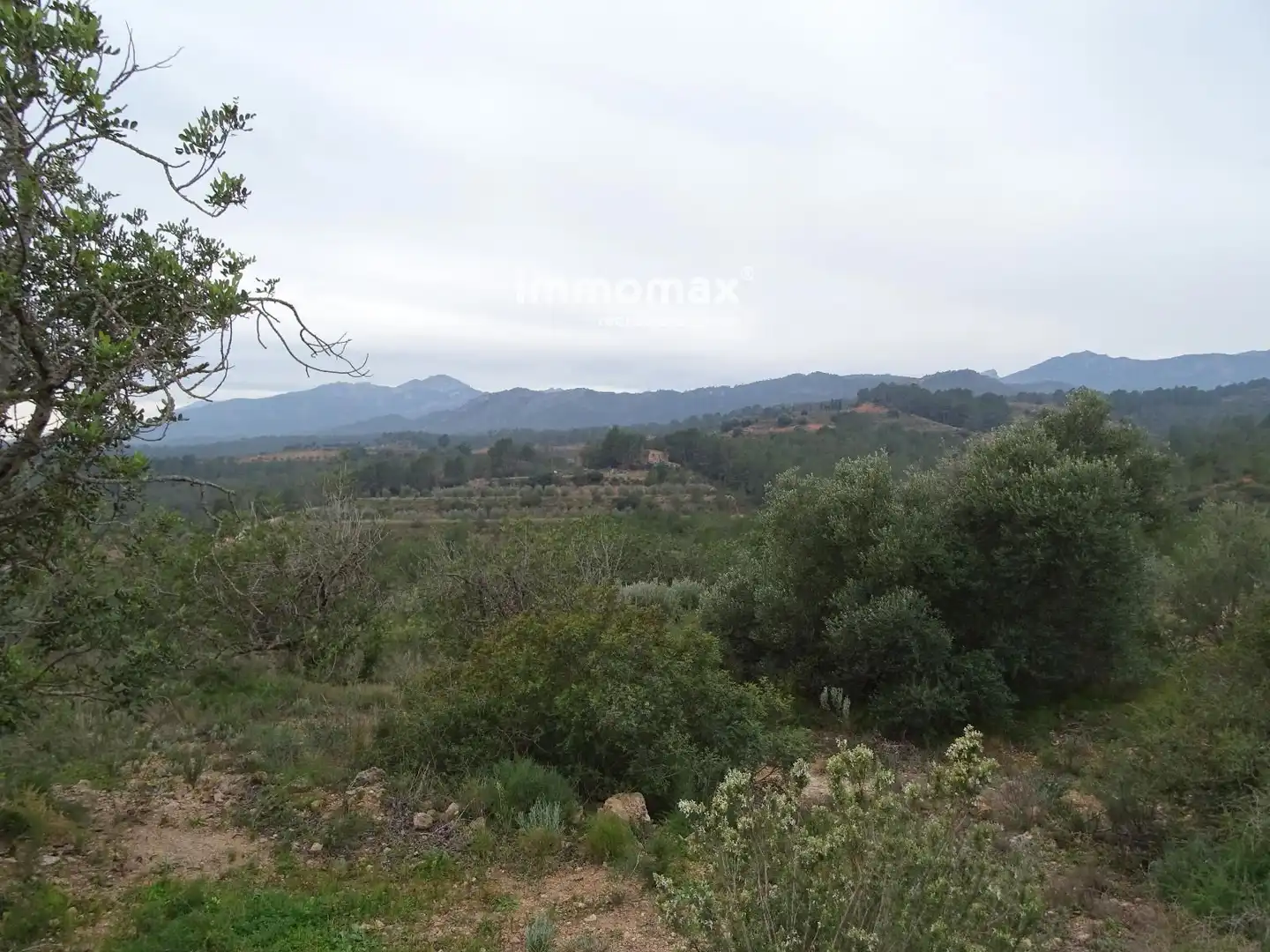 Residencial en venta en Benifallet