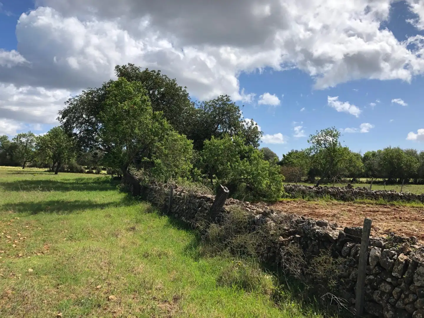 Lands and plots for sale in S'Horta - Cas Concos des Cavaller - Es Carritxó, imagen 11